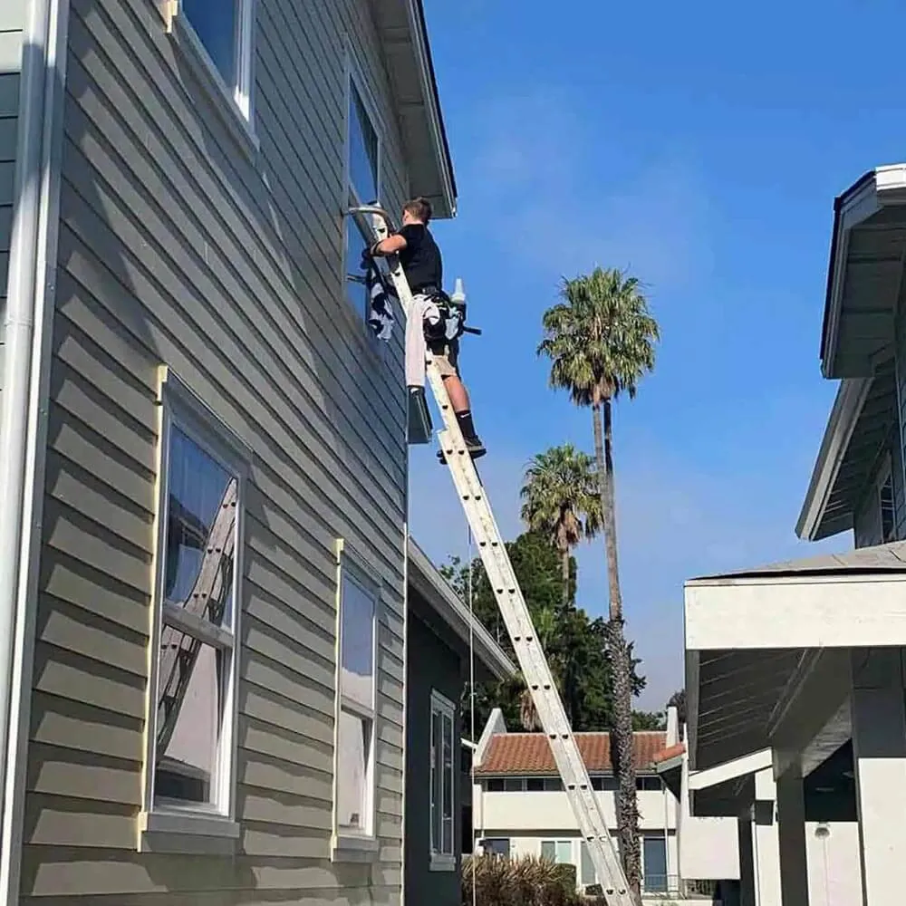 Ladder set against gray siding to reach upper story windows, palm tree behind